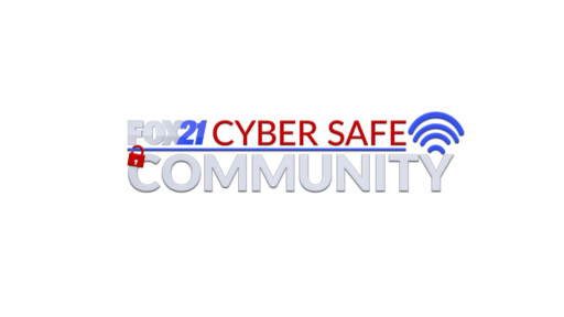 Fox 21 Cyber Safe Community
